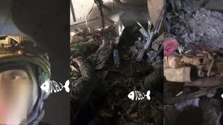 BRAZILIANS, BOSNIANS AND UKRAINIANS ALL EXECUTED
