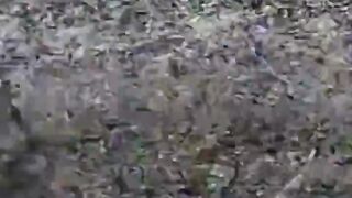 Destroying of a pedoruzzian T-72 tank near Kupyansk