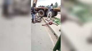 Motorcyclist Caused A Serious Accident Before Dying