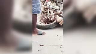 Motorcyclist Caused A Serious Accident Before Dying