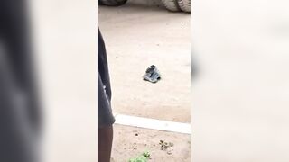 Motorcyclist Caused A Serious Accident Before Dying