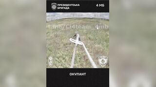 UA drone trolling Russian