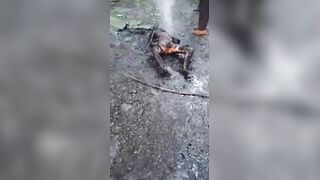 Two Extortionists Murdered And Set On Fire In Ecuador