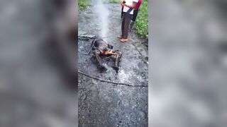 Two Extortionists Murdered And Set On Fire In Ecuador
