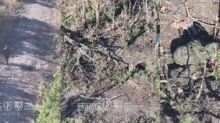 The utterly inglorious death of a lost Russhit.