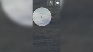 And another close view on a dead ruzkiy from FPV drone of Madyar Birds