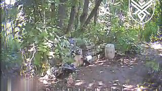 Dead Russians by Dovbush's Hornets.