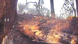 Dead Russians by Dovbush's Hornets.