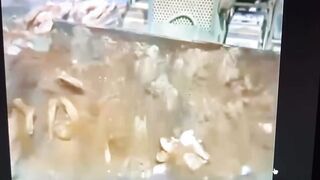 Color Footage Of Concentration Camp Victims