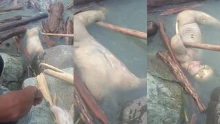 Body washes up in river