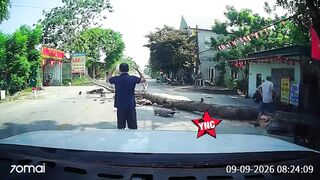 Man Cutting The Tree Accidentally Kills A Motorcyclist  In Vietnam