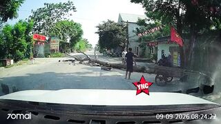 Man Cutting The Tree Accidentally Kills A Motorcyclist  In Vietnam