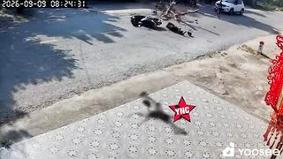 Man Cutting The Tree Accidentally Kills A Motorcyclist  In Vietnam