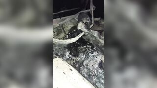 Jidadists Fried By Ethiopinan Army