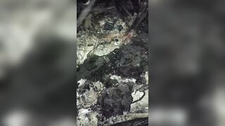 Jidadists Fried By Ethiopinan Army