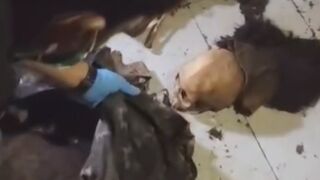 Remains Of Brother And Sister Missing Since 2021 Found In Indonesia