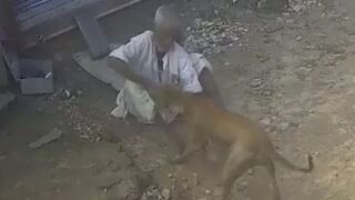 Old Man Attacked By Stray Dog