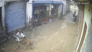 Old Man Attacked By Stray Dog
