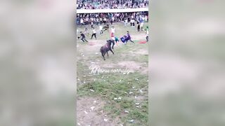 Another Idiot Seriously Gored By Bull In Colombia