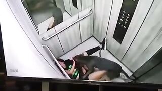 Young  Woman Was Attacked By A Pitbull