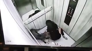 CLASSIC:Young  Woman Was Attacked By A Pitbull