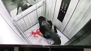 CLASSIC:Young  Woman Was Attacked By A Pitbull