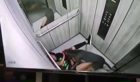 CLASSIC:Young  Woman Was Attacked By A Pitbull