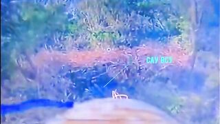 KAIRA BRIGADE TARGETING UAF IN YUGOSLAVIA, UKRAINE