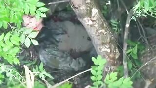 Russhit is trying to kill himself.