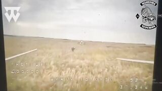 Dead Russians by 58th Brigade. #4