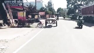 India: Horse Ditches Tonga, Goes Full Speed Into Traffic