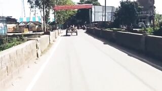 India: Horse Ditches Tonga, Goes Full Speed Into Traffic