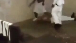 Degenerates fight in prison