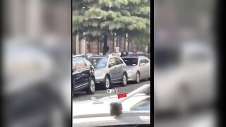 Crazy: Brazen Stabbing In Upper Manhattan, New York City.