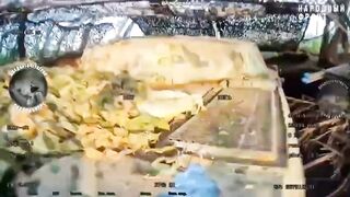 VESE LOE LIBERATED FROM INVADERS IN UKRAINE.