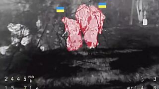 VESE LOE LIBERATED FROM INVADERS IN UKRAINE.