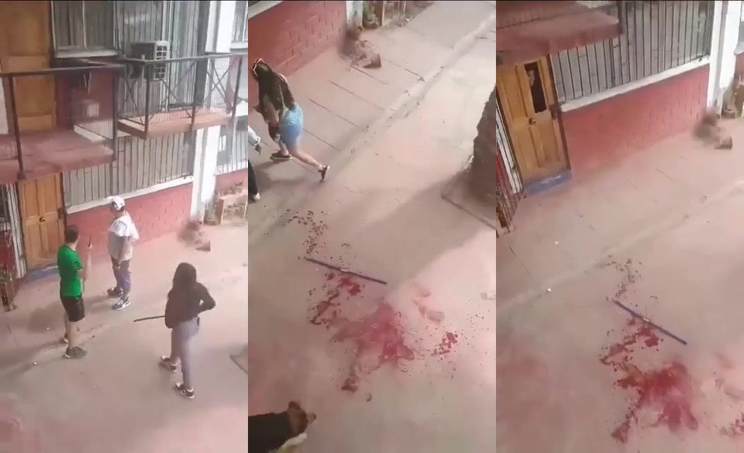 CLASSIC Girl gets her neck stabbed attempting to break into house