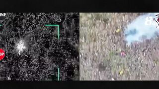 Russian Ninja Turtles crawled out of the pipe and were punished.