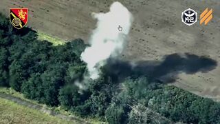 Minus another Russian Buk by HIMARS.