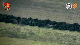Minus another Russian Buk by HIMARS.