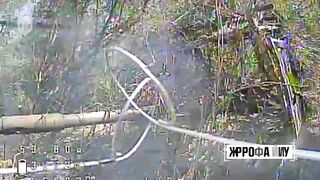 Dead Russians in the Zaporizhzhia sector.