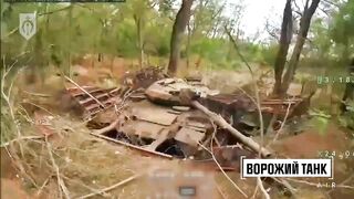 Dead Russians in the Zaporizhzhia sector.