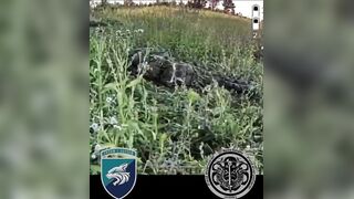 Dead Russians by 137th Battalion.