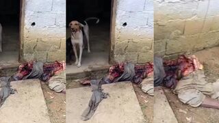 OLD MAN FOUND DEVOURED OUTSIDE HIS HOUSE