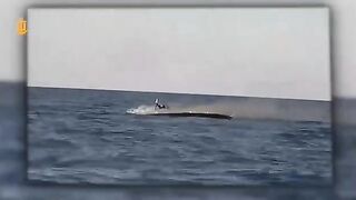 First in history destroying a marine drone by another marine drone