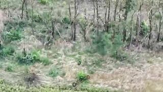 100 POUNDS DRONE DROPPED ON UKRANIAN SOLDIERS