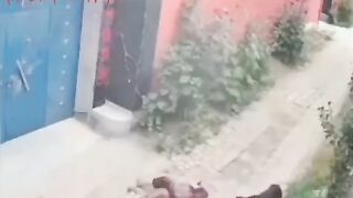 Old Woman Was Attacked By A Dog