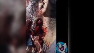 A Bear Attacks A Man In A Zoo
