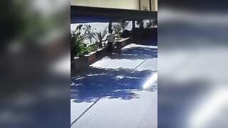 Man Finds An Explosive And Dies When It Detonates