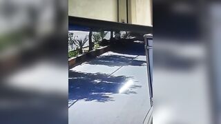 Man Finds An Explosive And Dies When It Detonates
